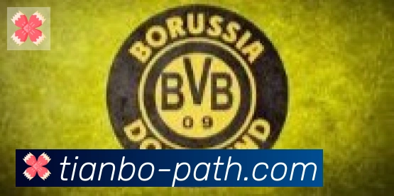 天博官网合作伙伴