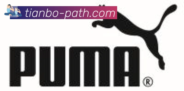 天博官网合作伙伴