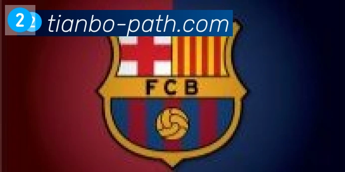 天博官网合作伙伴